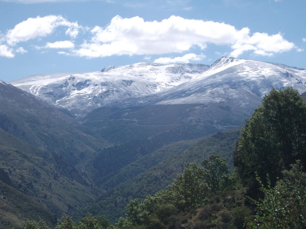 Apartamentos Sierra Nevada Welcome Oda fotoğraf